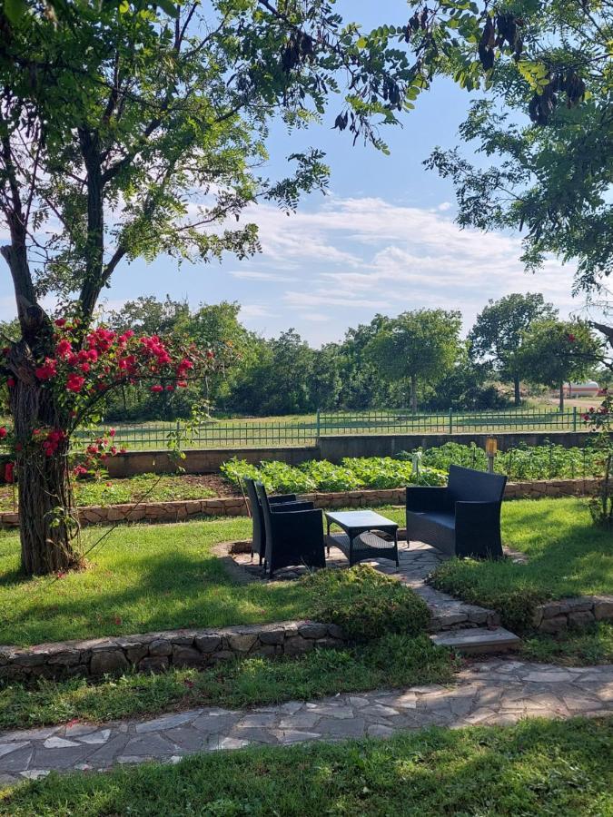 Agrotourism Galic Krka Hotel Drinovci Eksteriør billede
