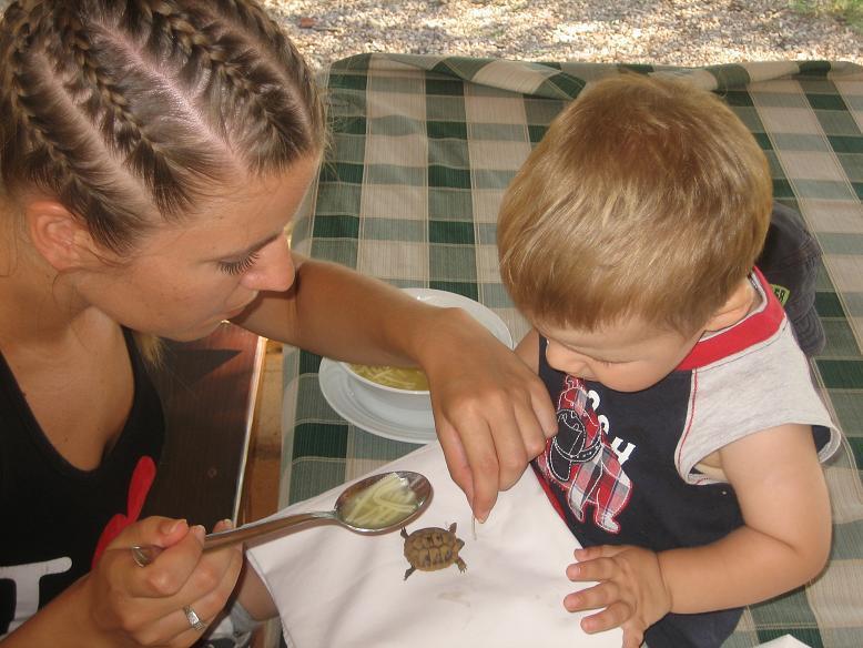 Agrotourism Galic Krka Hotel Drinovci Eksteriør billede